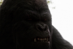 Grodd