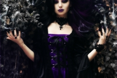 Raven-02