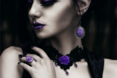 Raven-04