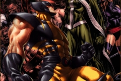 Wolverine-07